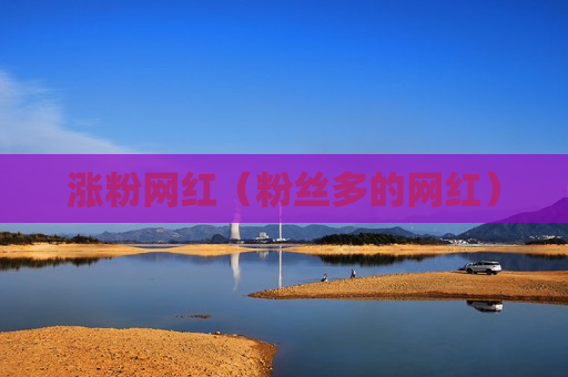 涨粉网红（粉丝多的网红）