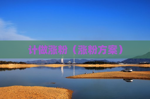 计做涨粉（涨粉方案）