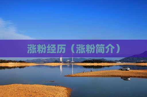涨粉经历（涨粉简介）