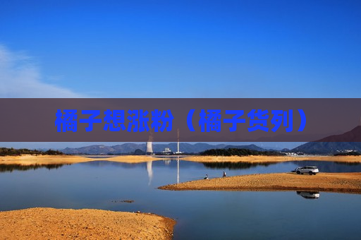 橘子想涨粉（橘子货列）