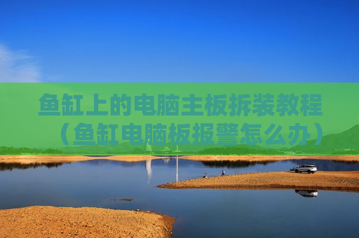 鱼缸上的电脑主板拆装教程（鱼缸电脑板报警怎么办）
