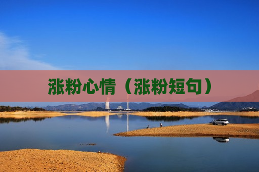 涨粉心情（涨粉短句）