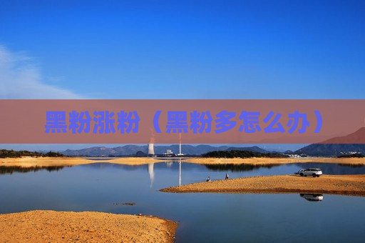 黑粉涨粉（黑粉多怎么办）