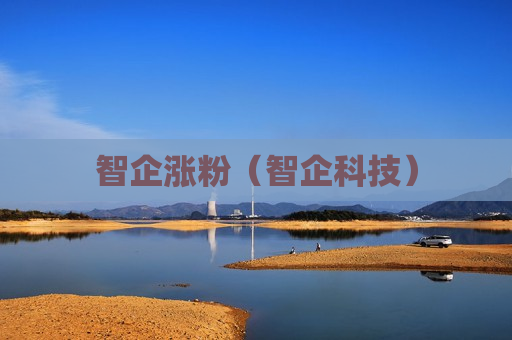 智企涨粉（智企科技）