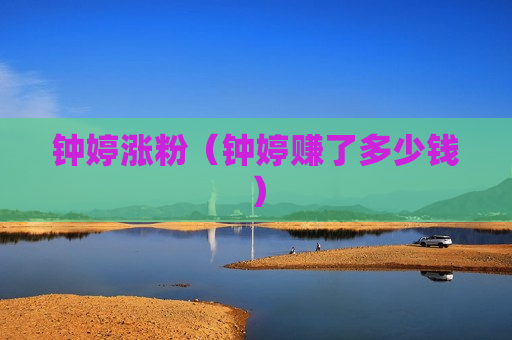 钟婷涨粉（钟婷赚了多少钱）