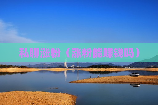 私聊涨粉（涨粉能赚钱吗）