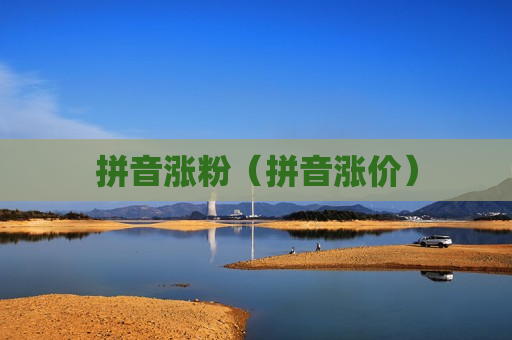 拼音涨粉（拼音涨价）