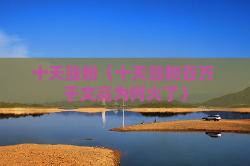 十天涨粉（十天涨粉百万 于文亮为何火了）