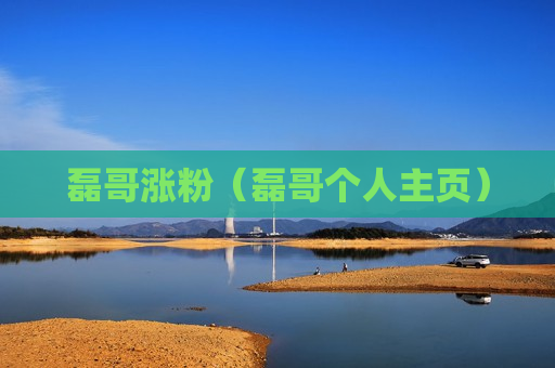 磊哥涨粉（磊哥个人主页）