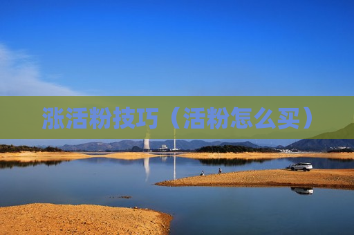 涨活粉技巧（活粉怎么买）