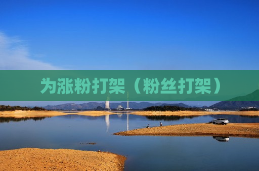 为涨粉打架（粉丝打架）