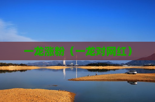 一龙涨粉（一龙对网红）