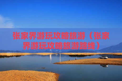 张家界游玩攻略旅游（张家界游玩攻略旅游路线）