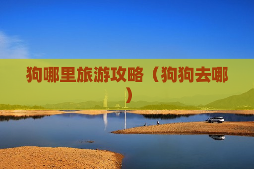 狗哪里旅游攻略（狗狗去哪）