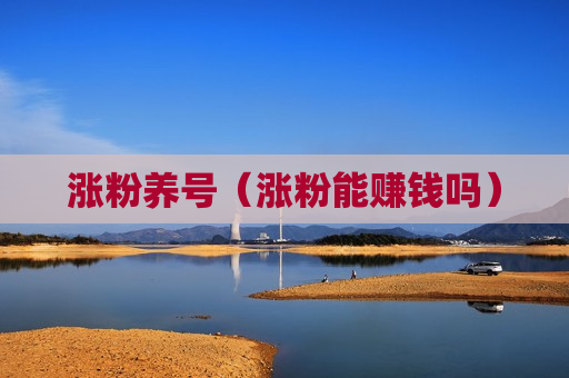 涨粉养号（涨粉能赚钱吗）