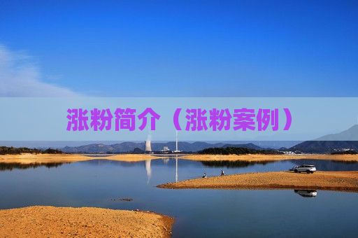 涨粉简介（涨粉案例）
