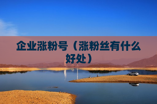 企业涨粉号（涨粉丝有什么好处）