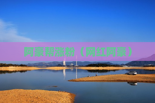 阿豪帮涨粉（网红阿豪）