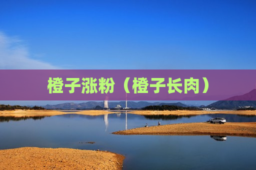 橙子涨粉（橙子长肉）