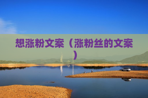 想涨粉文案（涨粉丝的文案）