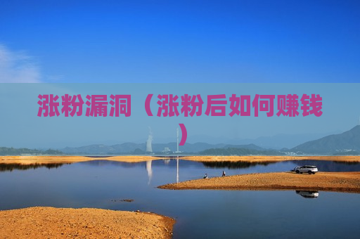 涨粉漏洞（涨粉后如何赚钱）