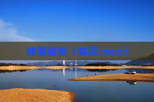 林晨涨粉（林晨 mcn）
