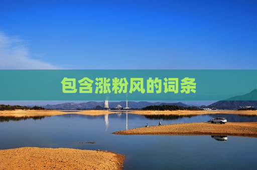包含涨粉风的词条