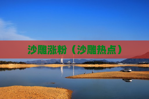 沙雕涨粉（沙雕热点）