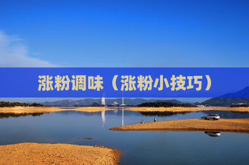 涨粉调味（涨粉小技巧）