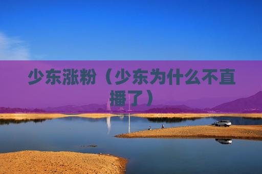 少东涨粉（少东为什么不直播了）