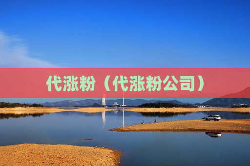 代涨粉（代涨粉公司）