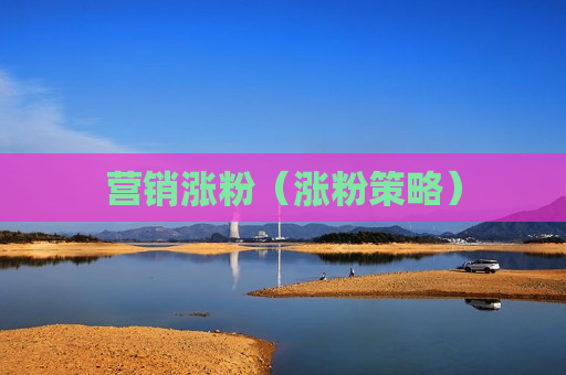 营销涨粉（涨粉策略）
