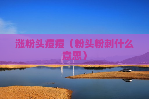 涨粉头痘痘（粉头粉刺什么意思）