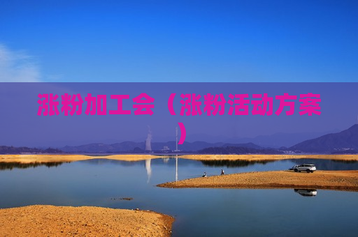 涨粉加工会（涨粉活动方案）