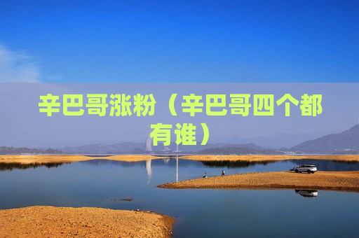 辛巴哥涨粉（辛巴哥四个都有谁）