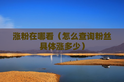 涨粉在哪看（怎么查询粉丝具体涨多少）