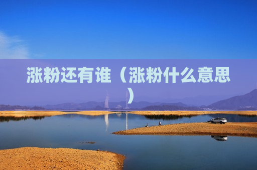 涨粉还有谁（涨粉什么意思）