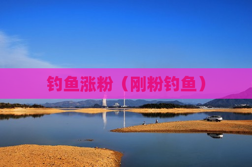 钓鱼涨粉（刚粉钓鱼）