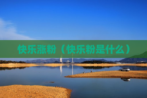 快乐涨粉（快乐粉是什么）