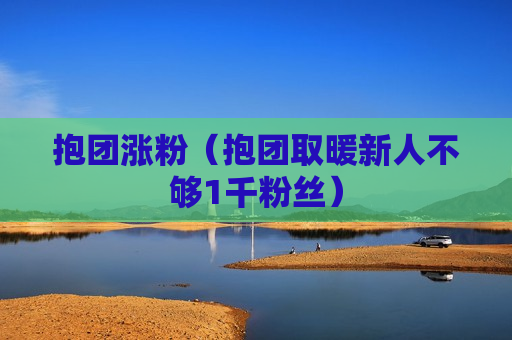 抱团涨粉（抱团取暖新人不够1千粉丝）