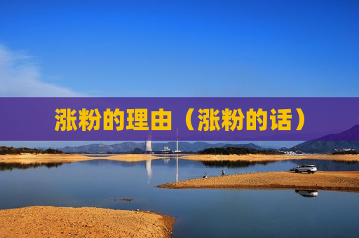 涨粉的理由（涨粉的话）