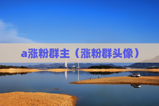 a涨粉群主（涨粉群头像）
