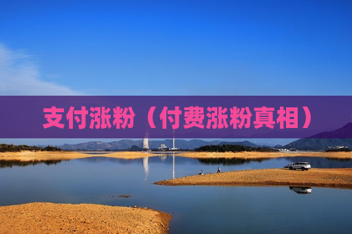 支付涨粉（付费涨粉真相）