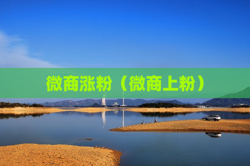 微商涨粉（微商上粉）