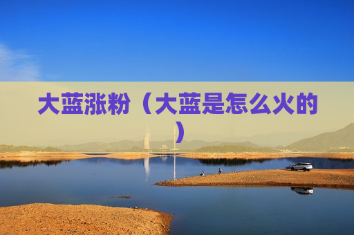 大蓝涨粉（大蓝是怎么火的）