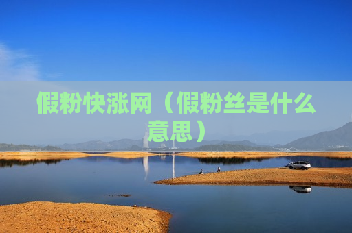 假粉快涨网（假粉丝是什么意思）