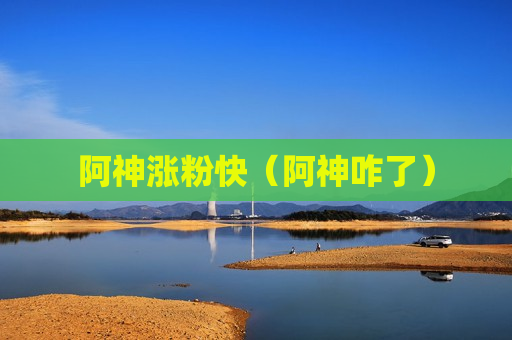 阿神涨粉快（阿神咋了）