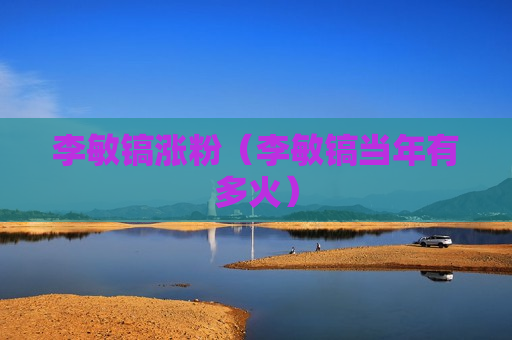 李敏镐涨粉（李敏镐当年有多火）