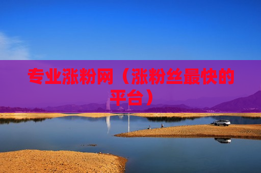 专业涨粉网（涨粉丝最快的平台）