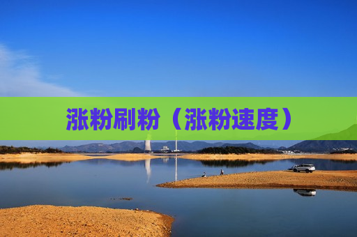 涨粉刷粉（涨粉速度）